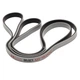 Тренувальний ремінець SELECT Trainingband 2 "My training" (990) сірий, one size - зображення 2