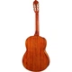 Классическая гитара Cort AC100 Semi Gloss [130479] - изображение 2