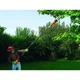 Пила цепная Black+Decker сетевая на штанге 800 Вт шина 25 см PS7525-QS - изображение 3