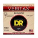 Струны для акустической гитары DR Strings Veritas Coated Core Acoustic Guitar Strings - Light (12-54) - изображение 1