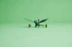 Конструктор LEGO NINJAGO Зеленый лесной дракон Ллойда (71829) - изображение 6