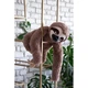 М'яка іграшка FANCY Sloth XXL плюшевий лінивець, 57 см - изображение 4