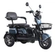 Трицикл аккумуляторный Forte Family-WN1072G Серый - изображение 2