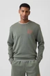 Комплект: футболка и шорты Gap 54(2XL) Зеленый (148609) - изображение 8