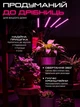 Фитолампа для растений светодиодная LED на 4 ветки 48Вт настольная лампа для роста и цветения комнатных и тепличных растений с прищепкой зажимом таймером и питанием от USB красный и синий свет Черная - изображение 3