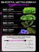Фитолампа для растений светодиодная LED на 4 ветки 48Вт настольная лампа для роста и цветения комнатных и тепличных растений с прищепкой зажимом таймером и питанием от USB красный и синий свет Черная - изображение 4