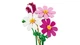 Конструктор LEGO Botanicals Цветы космеи (11514) - изображение 5