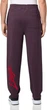 Мужские спортивные штаны Hugo р. XXL, бордовые - изображение 4