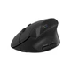 Мишка Canyon MW-25 LED Silent Wireless/Bluetooth Black - зображення 2