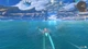Gra Nintendo Switch 2 Xenoblade Chronicles: Definitive Edition (Kartridż) (045496314392) - obraz 2