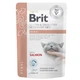 Консервований корм Brit Veterinary Diet GF VetDiet Renal Вологий корм для котів з лососем 85 г (1111183202) - зображення 1