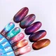 Гель-лак для нігтів LUNA Color Cat Eye №251 13 мл - зображення 4