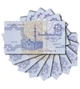 Набір 10 банкнот 25 ріастрів Єгипет 2008 рік UNC - зображення 1