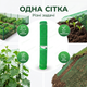 Пластиковая сетка AgroStar 2x20м ячейка 50x50мм для ограждения грядок сада дачи уф стабилизированное полотно - изображение 3