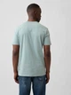 Футболка бавовняна чоловіча Gap 620362289 L Зелена (1159864511) - зображення 2