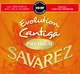 Струны для классических гитар Savarez Evolution Cantiga Premium 510ERP Normal Tension (R129019) - изображение 1