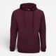 Худи утепленное мужское Mukua Sidney MK605V_403 L Wine (8434455721234) - изображение 1