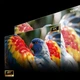 Лазерний проектор HISENSE C3 - изображение 5