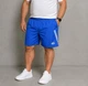 Шорты мужские больших размеров SPORT 4009-6 10XL голубые - изображение 1