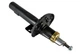Амортизатор підвіски Magnum AGA004MT Volkswagen Vento, Polo; Skoda Fabia, Roomster, Octavia; Seat Cordoba, Ibiza; Audi A2 600413031AH, 600413031AJ, 6E0413031F - изображение 1