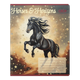 Зошит ZiBi 24 аркуша лінія Horses 5 (ZB25.1770L) - изображение 1