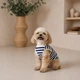 Майка для собак Pet Fashion Tropic синій розмір XXS - зображення 6