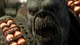 Ключ активации Gears of War: E-Day Premium Edition для Xbox Series S/X - изображение 4
