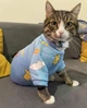 Толстовка для котов (кошек) Лаки Динозавр M Голубой - изображение 13