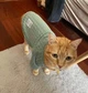 Кофта для котів (кішок) Мереживо XL М'ятний - зображення 10