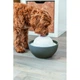 Фонтан Trixie Vital Dome керамический для собак 1,5л 20х10х20 см серо-белый - изображение 6