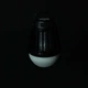 Фонарь-уничтожитель насекомых Bo-Camp Atom WP Rechargeable 180 люмен, черный (5818804) - изображение 3