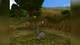 Игра Sony PlayStation 2 Donkey Xote Europe Английская Версия Б/У - изображение 3