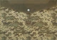 Набор папок-конвертов Buromax Military А4 на кнопке 12 шт (BM.3943-04) - изображение 2