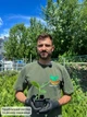 Саженцы банана комнатного Киевский карлик - холодостойкий, сладкий, неприхотливый Р9 - изображение 5