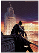 Пазл Medium-S Batman. Світ - изображение 4