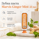 Зубная паста Marvis Ginger Mint 25 мл с имбирем и мятой, итальянская паста с фтором и ксилитом для ежедневного очищения зубов - изображение 1