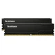 Модуль памяти для компьютера DDR4 32GB (2x16GB) 2666 MHz CL19 1.2V Resistance INTELIGENTES (IR4CHD2/32) - изображение 1