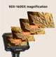 Цифровий мікроскоп з 4,3" IPS-екраном 1600X HD 1920P для пайки та досліджень з батареєю - зображення 7