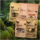 Подарочный элитный набор специй для настоек «Настойки для компании» 5 вкусов на 20 л - изображение 2
