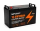 Литий-железо-фосфатный аккумулятор MFUZOP LiFePO4 12.8V 100Ah 1280Wh с BMS - изображение 2