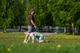 Охолоджувальний жилет для собак Cooling pull-on Non-stop dogwear Сіро-блакитний 36 - изображение 7