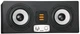 Monitor studyjny Eve Audio Sc305 Czarny (SUP_471) (4250626300053) - obraz 1