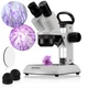Мікроскоп Bresser Analyth STR 10x-60x Stereo (15491) - зображення 2