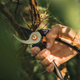 Площинний секатор Fiskars Solid ™ P341 (1057164) - изображение 4