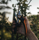 Площинний секатор Fiskars Plus ™ P721 (1057170) - изображение 4