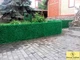 Декоративний зелений паркан ТМ DecorZabor з основою із металевої сітки та декоративним покриттям "Хвоя" 0.5х1м - зображення 4