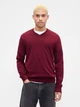 Пуловер мужской Gap 796957254 XL Бордовый (1159865041) - изображение 1