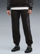 Спортивные штаны женские Puma Essentials Graphics 63761201 L Black (4070033327906) - изображение 1