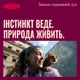 Вологий корм консерва Carnilove Chicken, Duck & Pheasant для котів паштет курка, качка і фазан 100 г - зображення 6