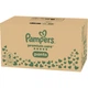 Подгузники Pampers Premium Care Pants Розмір 5 (11-17 кг) 108 шт (8006530315838) (346420) - изображение 2